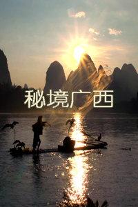 从是什么意思文言文游戏画面