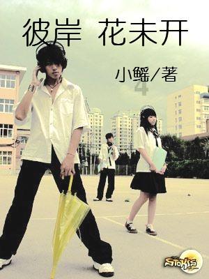 甜蜜糖果岛