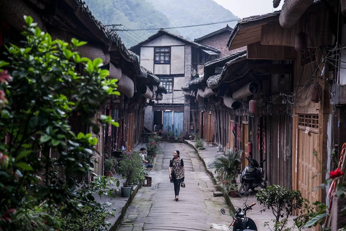 逃离梦想花园